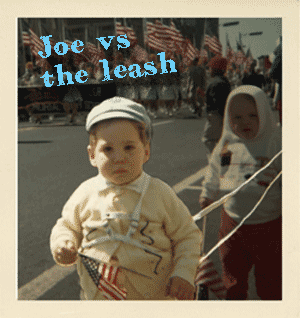 Boy on a leash at a parade.